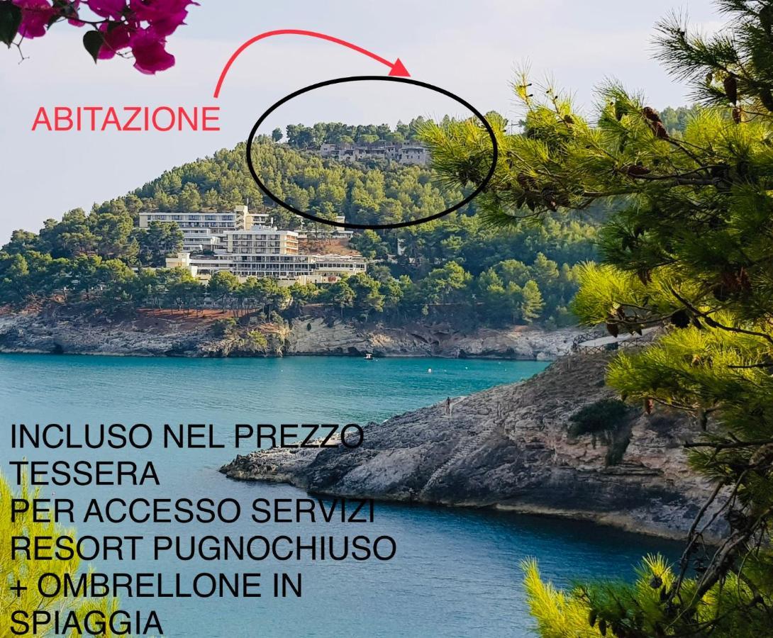 La Finestra Sul Mare - Antonella Apartment เวียสเต ภายนอก รูปภาพ
